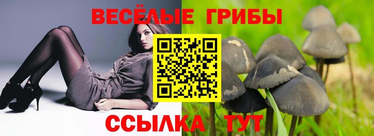 Курганинск  Псилоцибиновые грибы ЛСД  закладка  Вход с VPN 